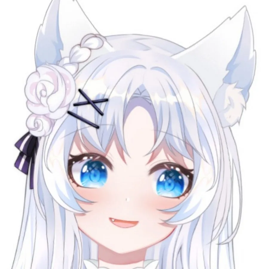 壹壹精華貓窩